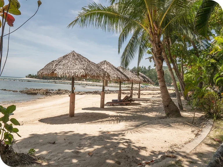 holina_wellness_private_beach_13