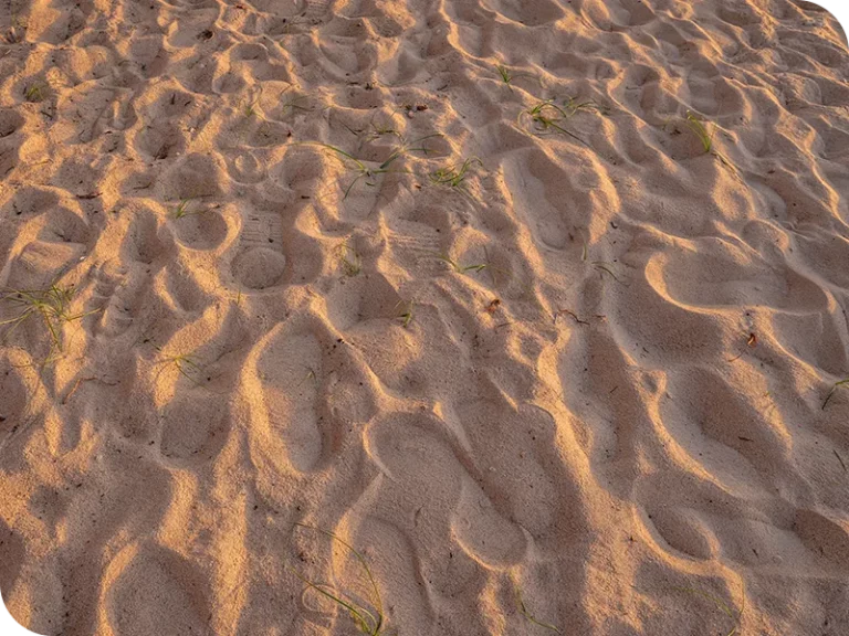 holina_wellness_private_beach_7