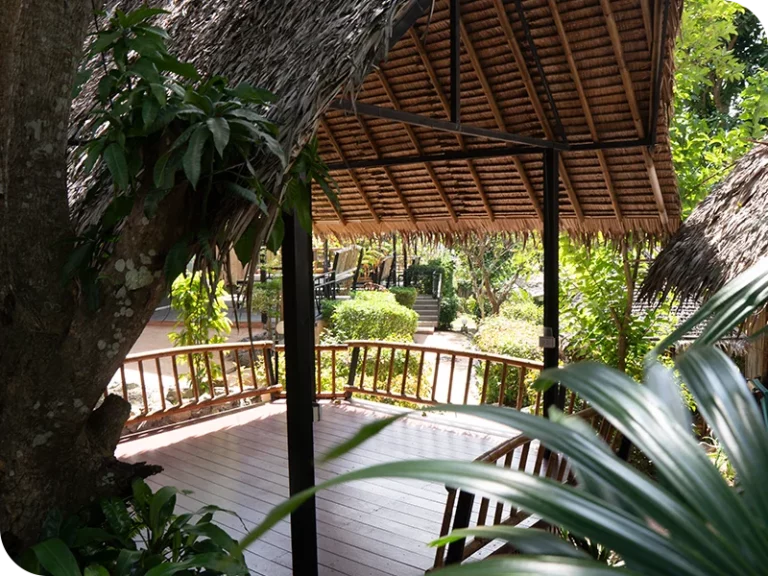 holina_wellness_sala_11