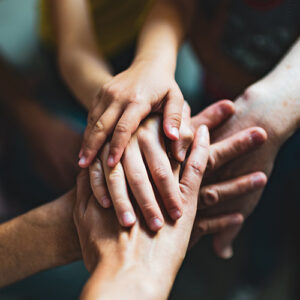 Trauma Healing Program (Garden or Seaview Cottage)